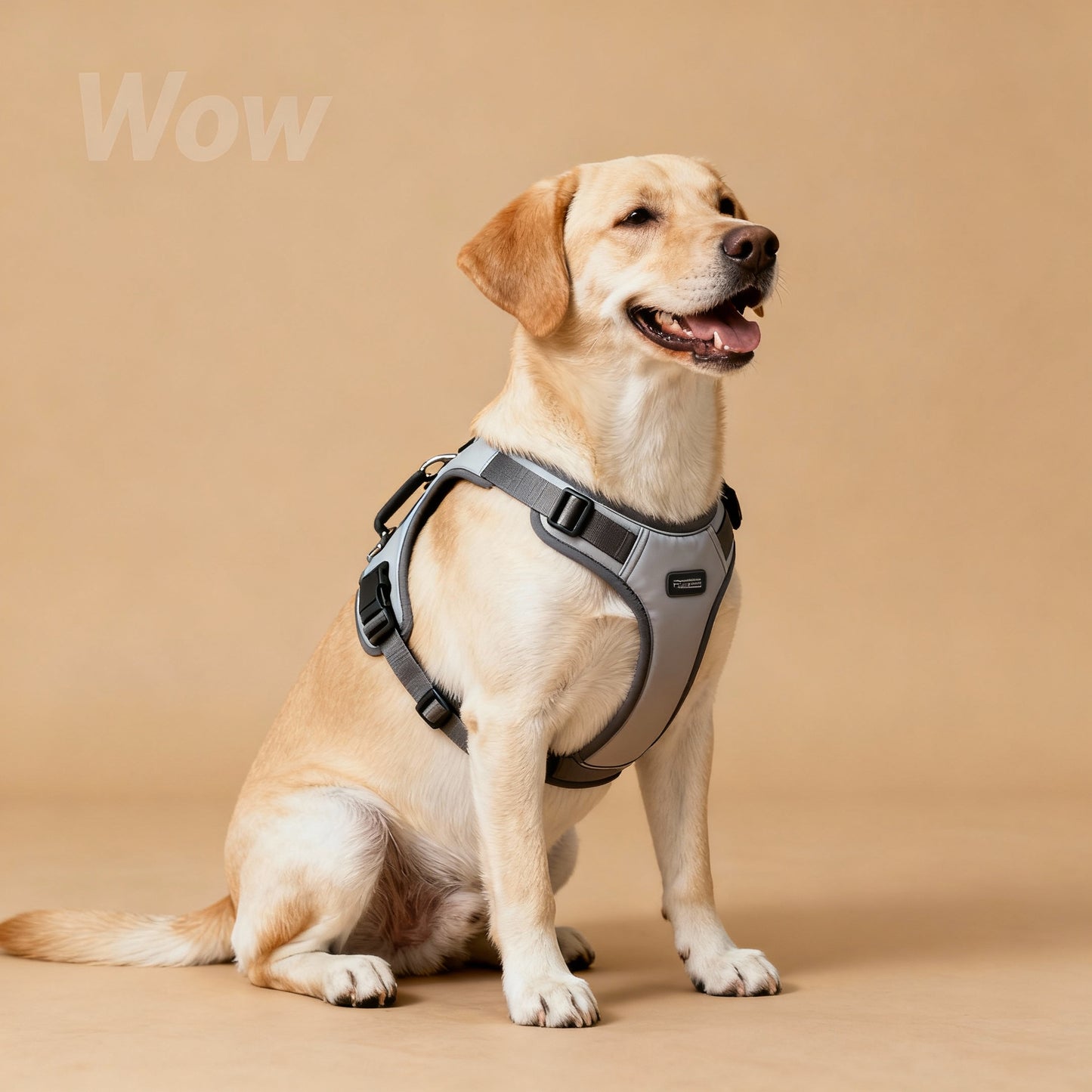 Harnais Anti-Traction Réfléchissant pour Chien | Lumidog