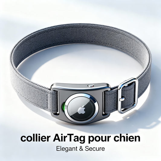 Collier AirTag pour Chien | Lumidog - Porte-AirTag Intégré